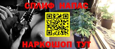 a pvp Кунгур