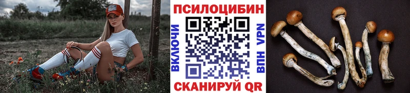 Галлюциногенные грибы Psilocybine cubensis  Белгород 