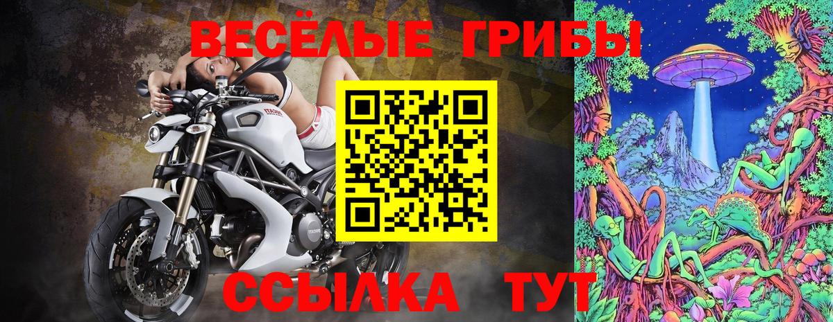 Псилоцибиновые грибы Magic Shrooms Белгород