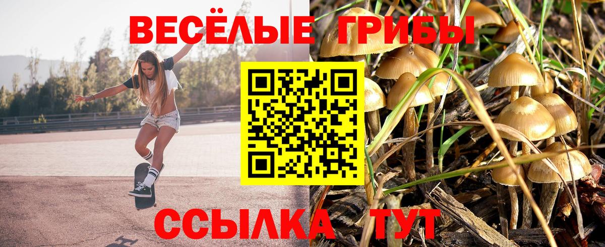 Белгород  Галлюциногенные грибы GOLDEN TEACHER  Псилоцибиновые грибы мицелий  Вход с VPN 